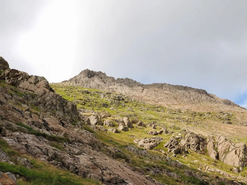 Lost in the Landscape: The Quiet Disappearance of Fieldwork from British Science Degrees